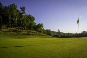 Trees around a golf course